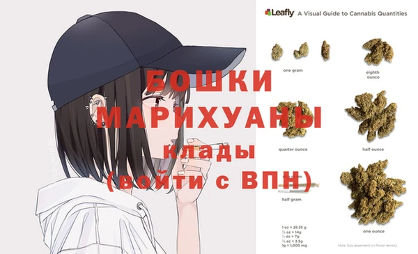 PSILOCYBIN Беломорск