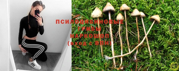 PSILOCYBIN Беломорск