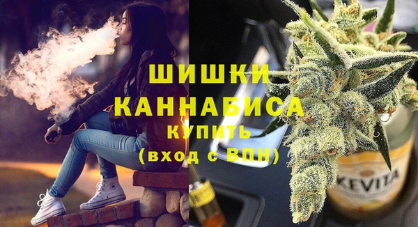 дмт Белокуриха