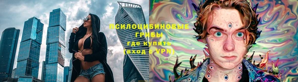 дмт Белокуриха